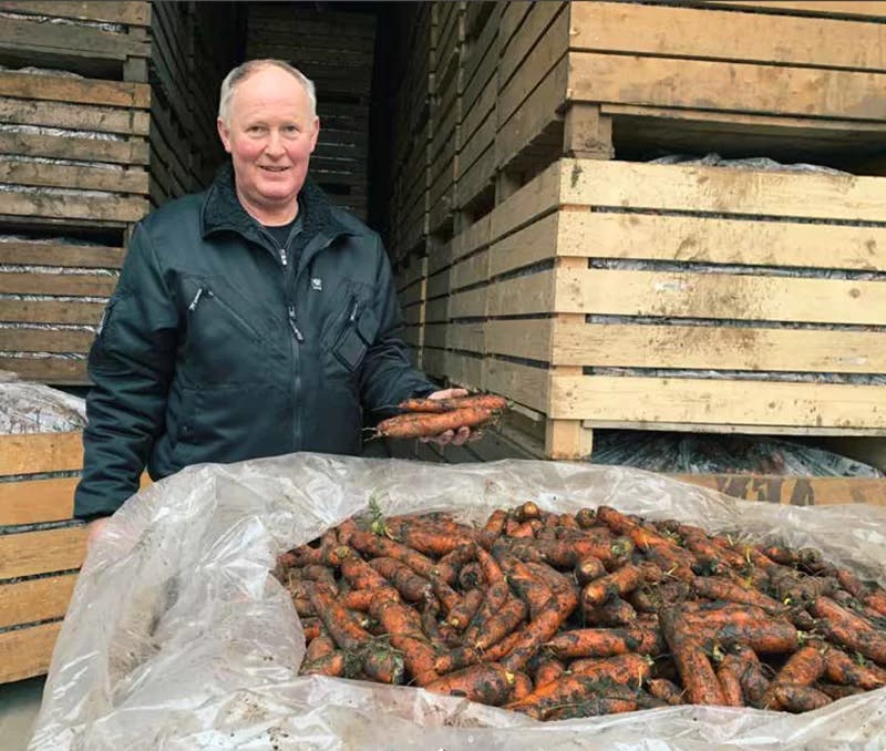 Bilde av bonde med gulrøtter